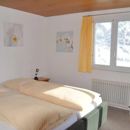 Apartment Ferienwohnung Edelweiss Lauterbrunnen