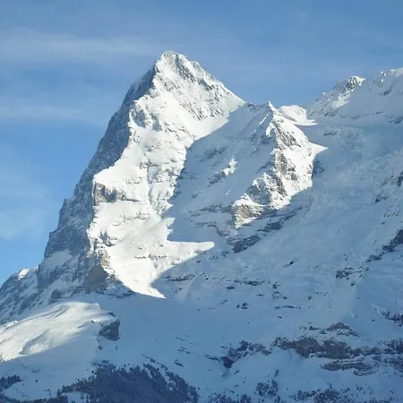 Ferienwohnung Edelweiss Apartmán Lauterbrunnen